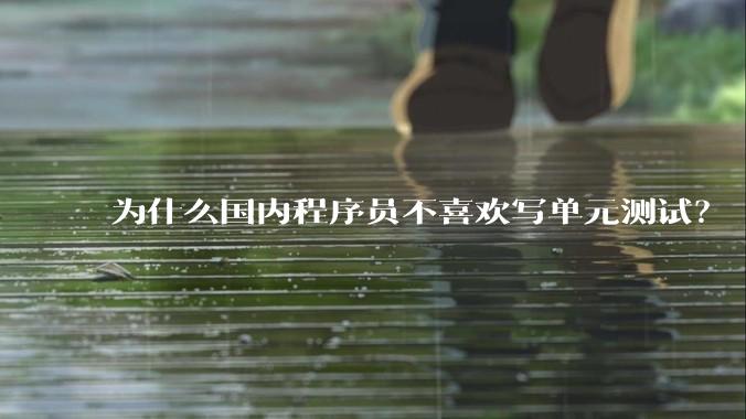 为什么国内程序员不喜欢写单元测试？