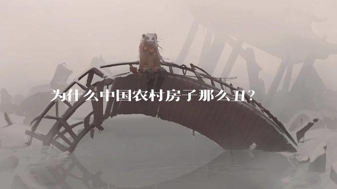 为什么中国农村房子那么丑？